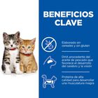 Hill’s Science Plan Kitten Pollo pienso para gatos, , large image number null